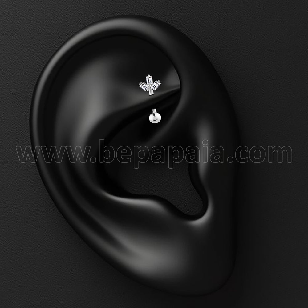 Piercings Rook Prism Pulse