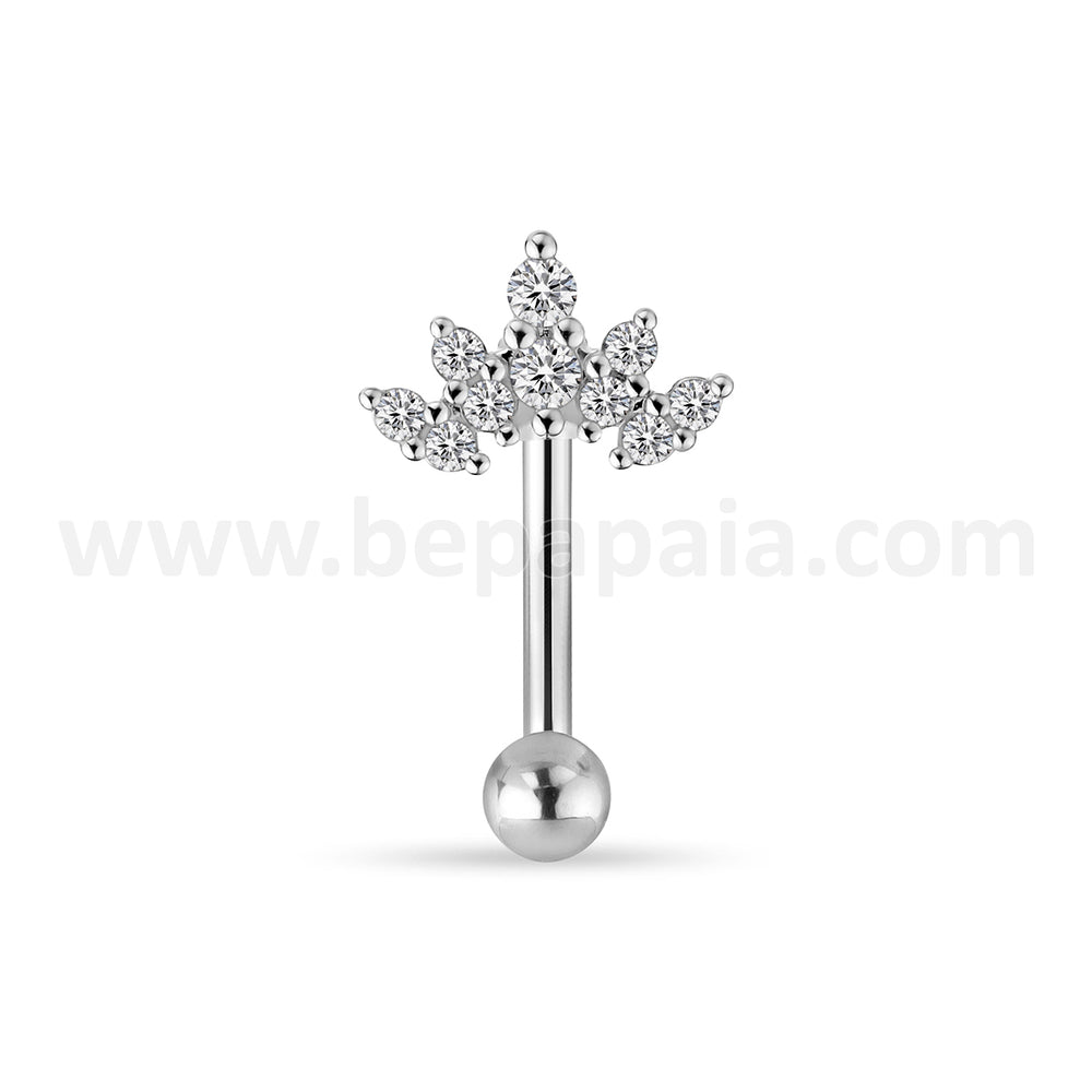 Piercings Rook Prism Pulse